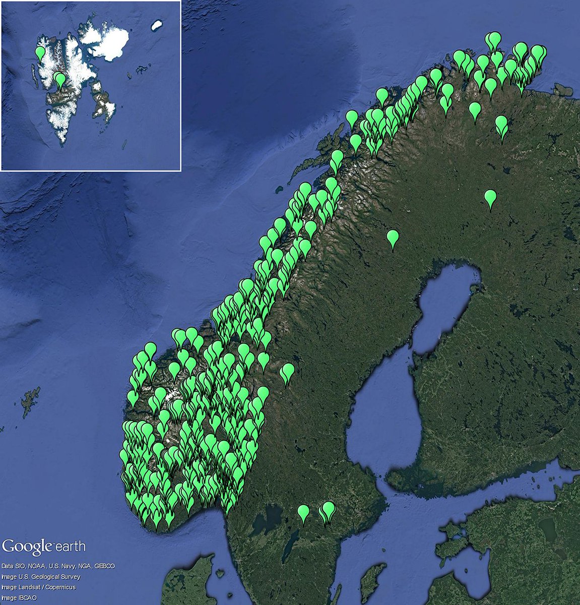 BioDataJournal's tweet photo. #OLICH: #DNAbarcode dataset for 20โ21% of the Nordic #lichens:
๐ 1324 records
๐ 507 species
๐ 175 genera
๐ 25 orders.
Project funded by @forskningsradet through @norwbol.
Data Paper: https://t.co/YPSipIwj7G.
#Mycology #Fungi #Biodiversity #Barcoding #BiodiversityData https://t.co/sZpSXmhvTD