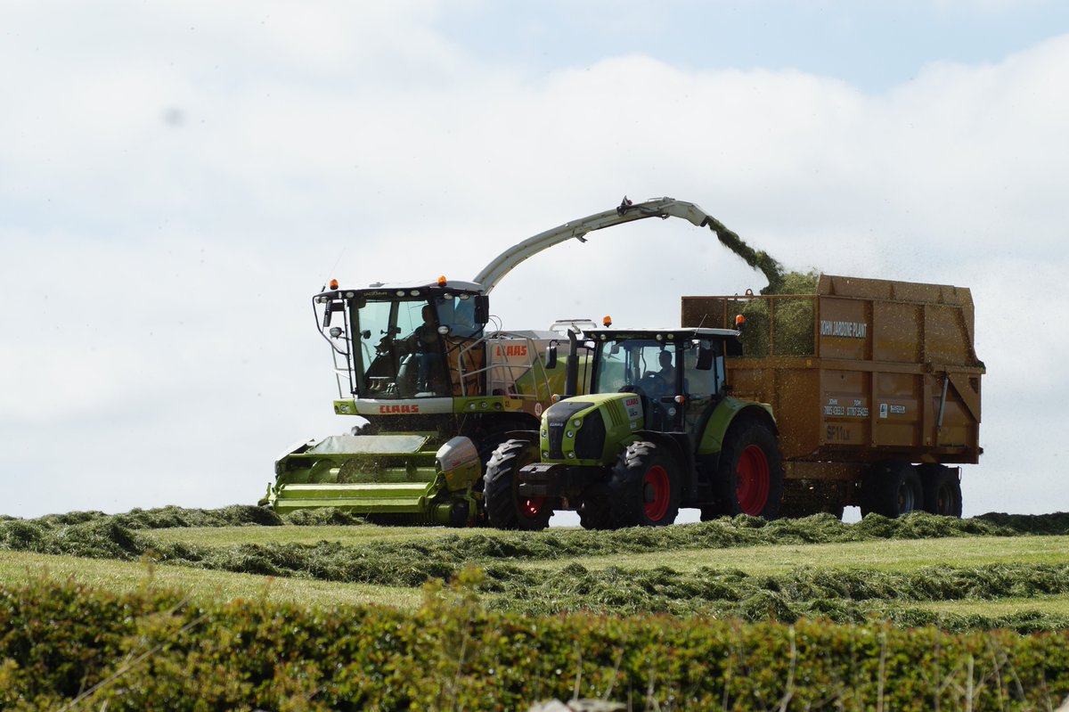 ForWaders's tweet photo. "Waders are a complex group of very different birds, and farmers run a complex group of very different businesses! There's no “one size fits all” answer to farmland conservation..." A very busy summer for #workingforwaders! @SoilAssocScot @scottishfarmer  https://t.co/e7EJXbRjHO https://t.co/tZ7luCODTe