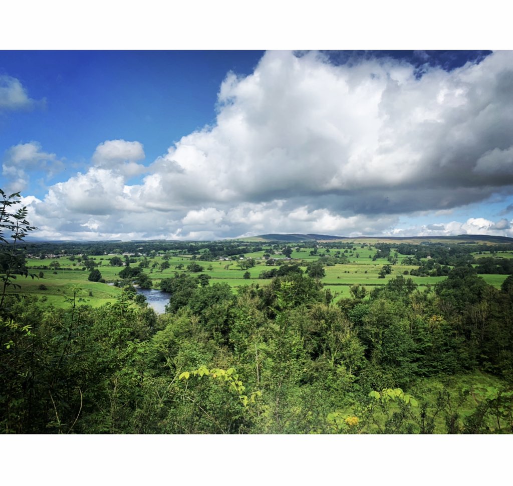 fredandbirdy's tweet photo. Fred &amp; Birdy may well be quiet on social media these days but their love of photography still shines &amp; not a day goes by without a photograph being taken... this is the last landscape I took in the lush #ribblevalley #WorldPhotographyDay #WorldPhotographyDay2019 📷 💚 https://t.co/shPkEc2thq