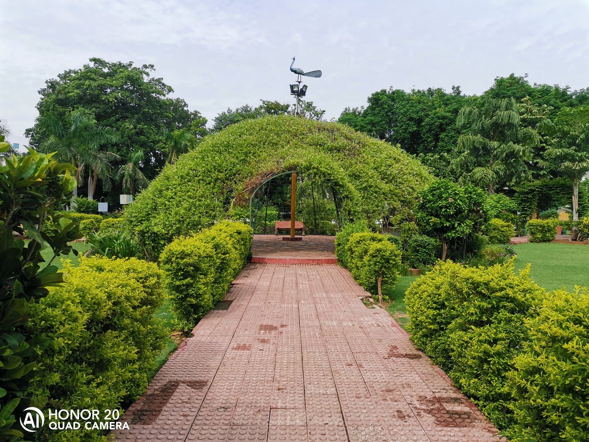 rajeshpadavala's tweet photo. @HiHonorIndia @OnePlus_IN Captured with my Honor 20 #HONORMade #ShotonHonor20 #Honor20 #ShotonHonor #honormyworld #honorgraphy https://t.co/VcW5fVvQnk