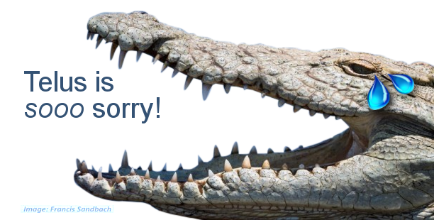sqwabb's tweet photo. #telusfail #TelusEmailFaiil https://t.co/3zcFB5N2I2