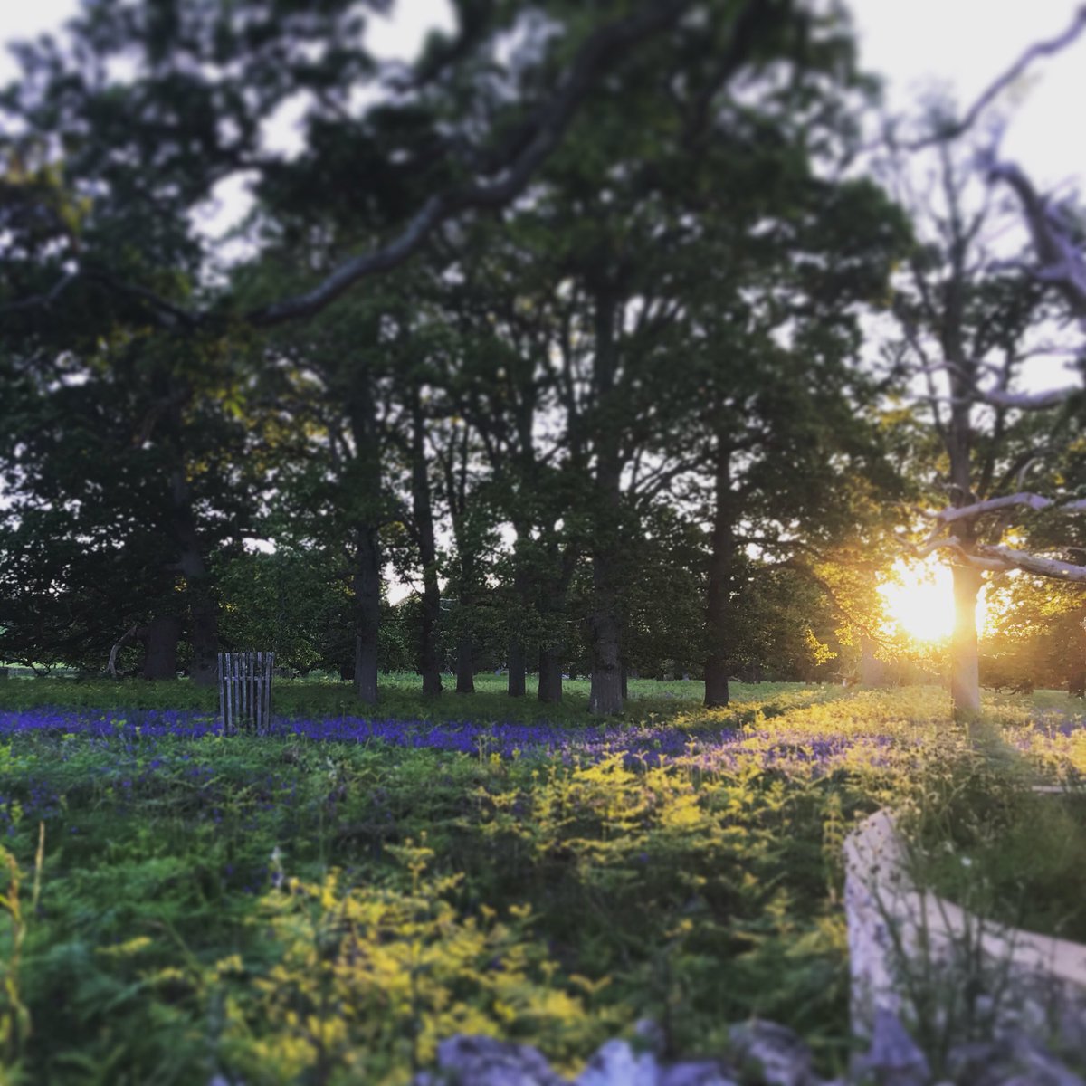 MJLaver's tweet photo. #WorldPhotographyDay iPhone only #muchfilter https://t.co/2YlXH08ma1