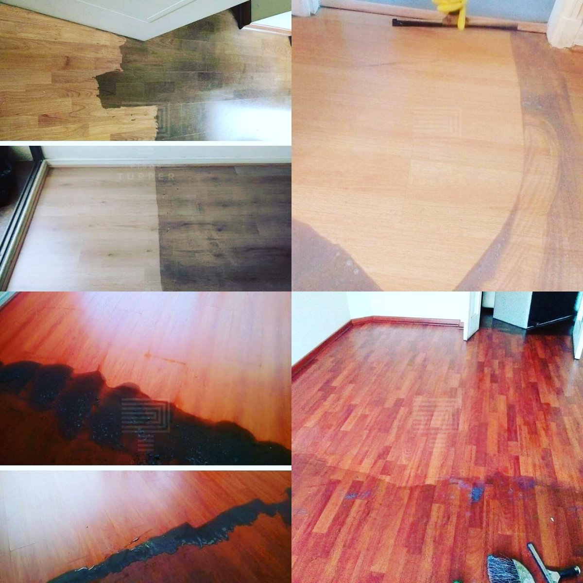 TupperPisos's tweet photo. ¡Renovamos tu hogar! Te acompañamos en todo el proceso y convertimos tu casa en un hogar con nuestro servicio de Recuperación y limpieza de Pisos Flotantes. 
Contáctanos: +56 9 91552929 ☎️
Escribenos: gabriel@pisostupper.cl 🖱

#PisosTupper #ServicioLimpieza  #Providencia https://t.co/IDGS7HlrKg
