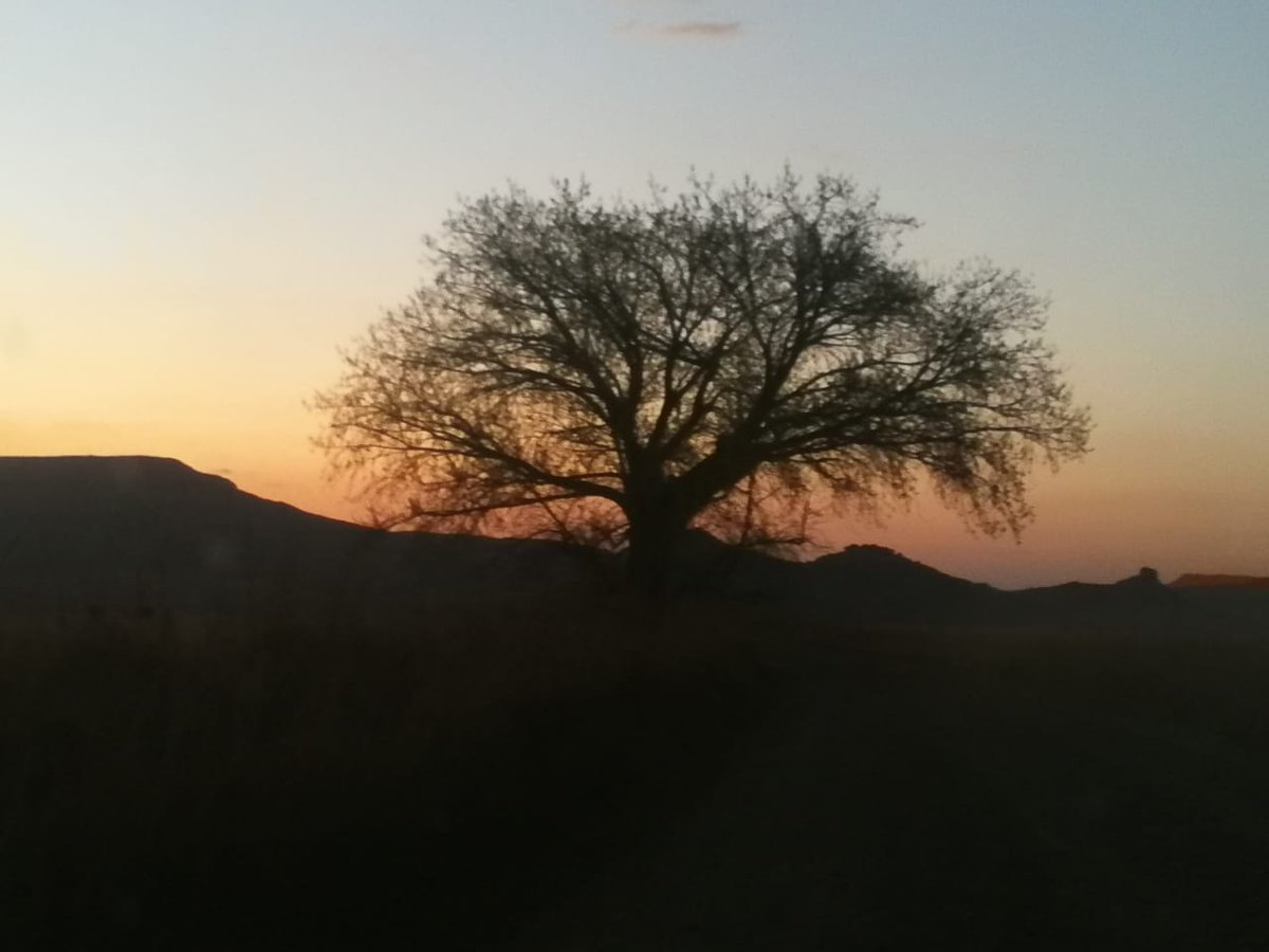 EarthRiseLodge's tweet photo. When nature urges you to stop and appreciate her ... https://t.co/IJNt7yRi1A