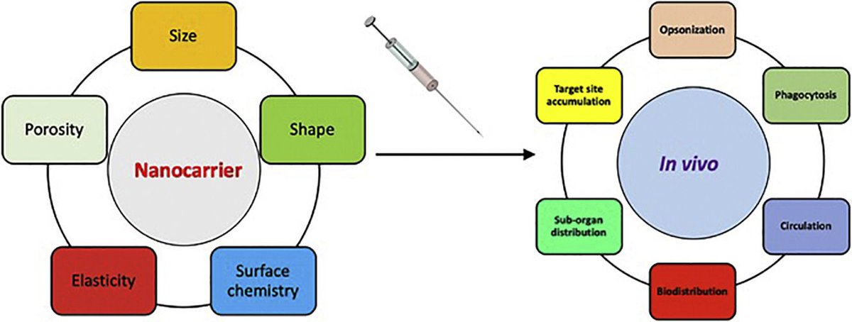 book biomimetics for