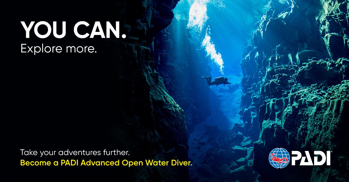 PADI ADVANCED OPEN WATER

You have done it, you can now enjoy the wonders of the ocean....want to sharpen your skills, learn new things like navigation or how to take a good photo?

Then sign up now for the PADI AOW.