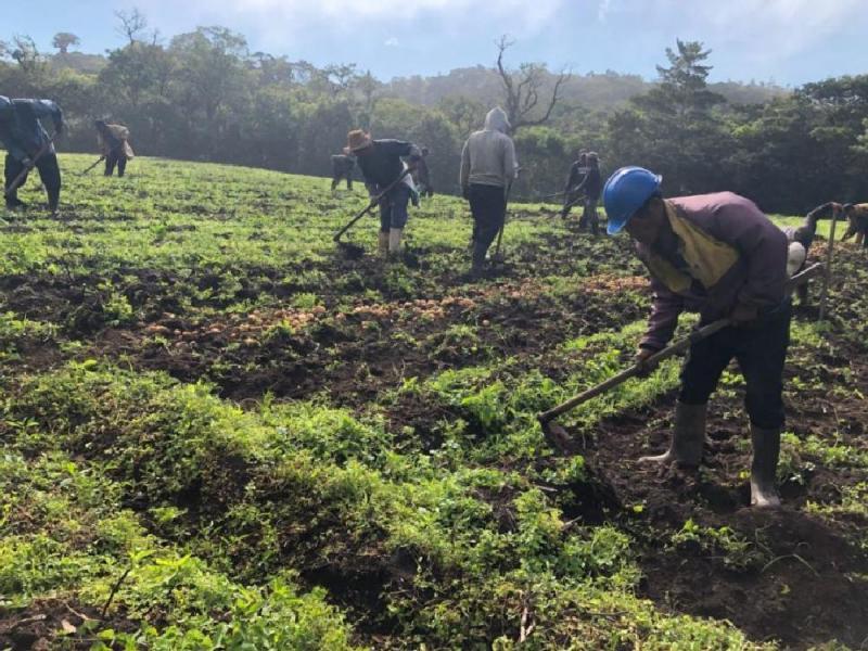 twmundo's tweet photo. Gobierno saldará deuda con más de 12 mil productores para reactivar el sector https://t.co/RkMoaIwgHP https://t.co/TT23VMk1tP