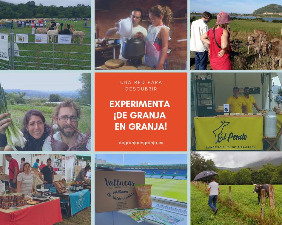 dgranjaengranja's tweet photo. ¿Cómo llevamos el verano? 🤔haciendo mermeladas, recogiendo arándanos, hacer queso, ir a ferias y visitar granjas de productores locales...¡la red NO PARA!.😀 ¿Os atrevéis a probar la experiencia que ofrece la red?
#veranoslow #slowfood #turismorural #quehacerconniños #cantabria https://t.co/3s3HuaPfxU