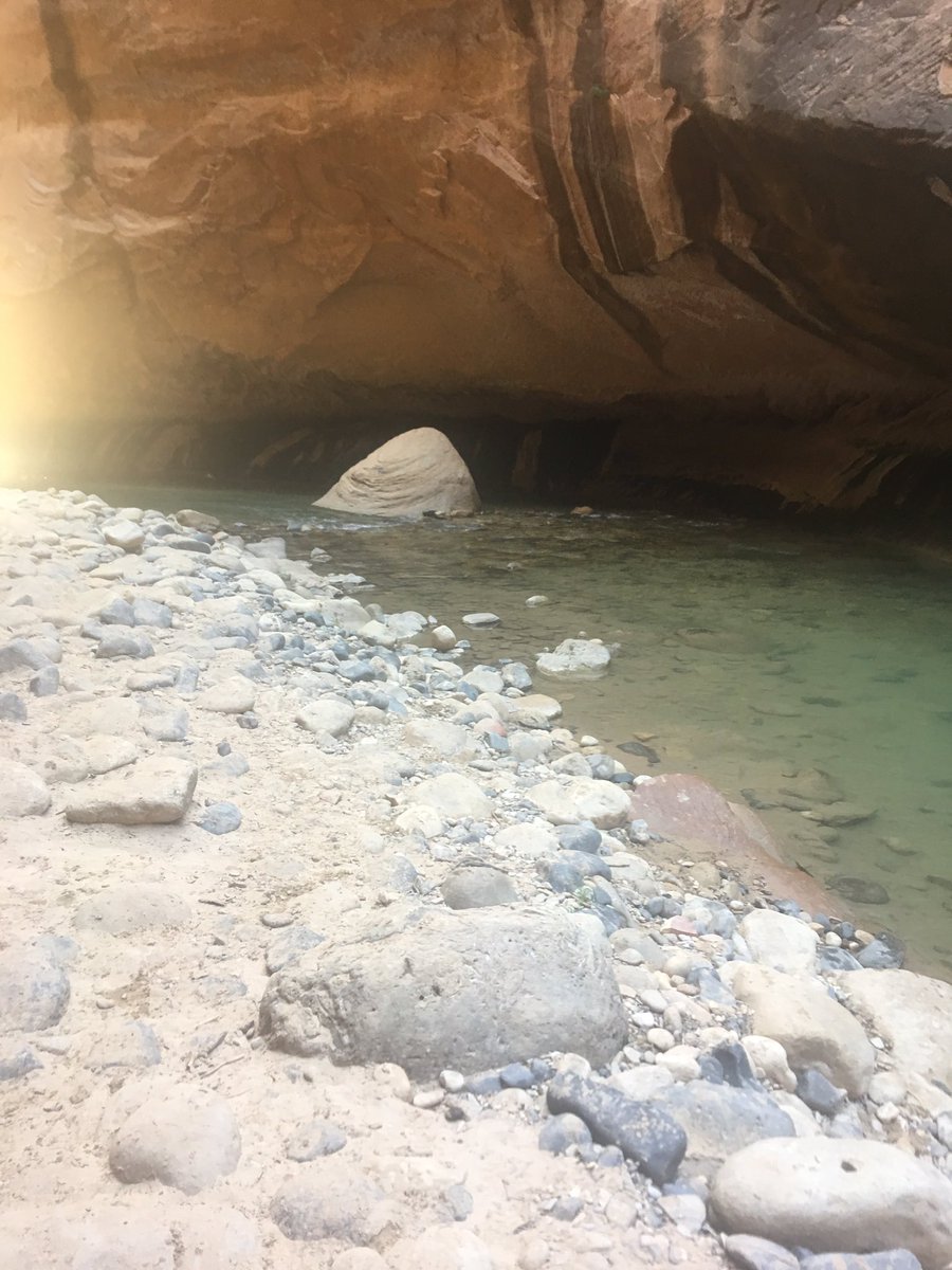 BBFox13's tweet photo. #nationalparks are amazing! https://t.co/fzNaqOLwyd