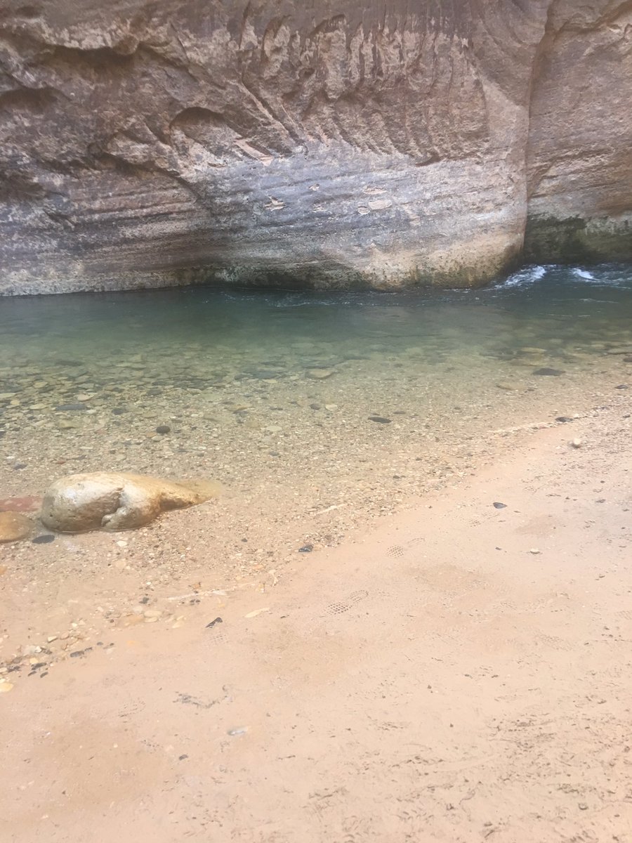 BBFox13's tweet photo. #nationalparks are amazing! https://t.co/fzNaqOLwyd