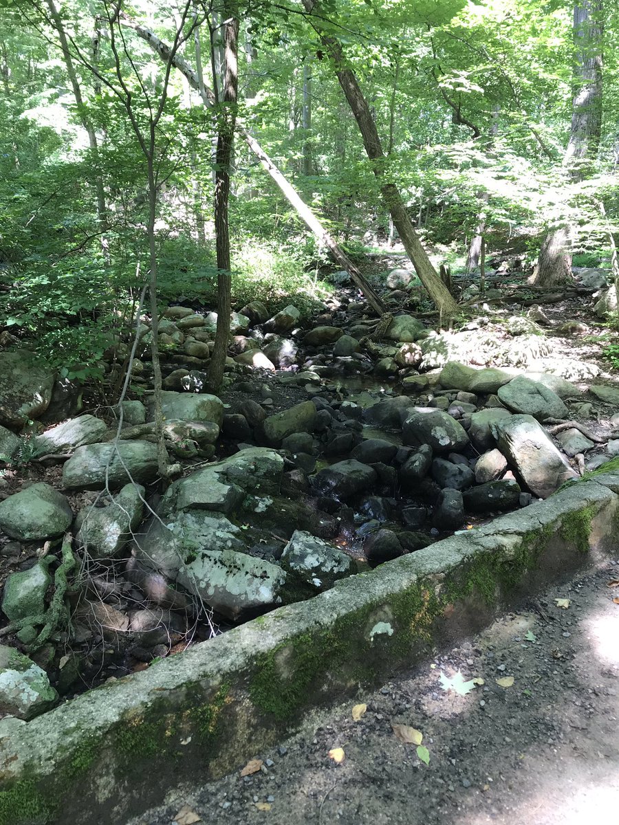amandasolimando's tweet photo. There hasn’t been enough hiking in my life this summer #havefunoutside #NJissopretty https://t.co/53bFxggHz5