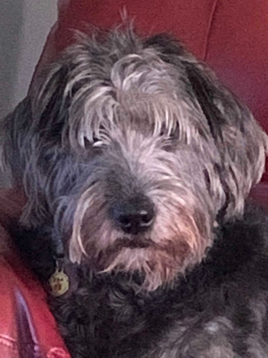 PercocoMark's tweet image. 