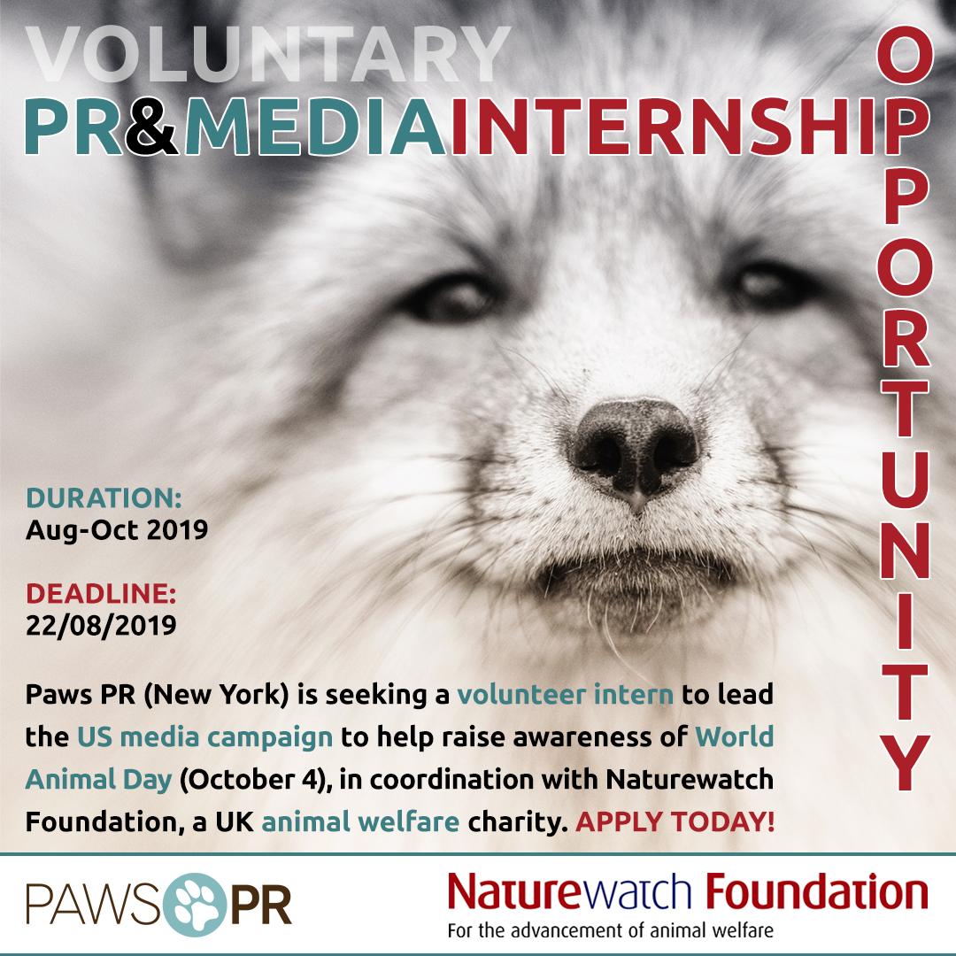 worldanimalday's tweet photo. A fantastic #voluntary #INTERNSHIP OPPORTUNITY has arisen with 🐾 #PawsPR (New York). International applicants with fluent #Englishskills will be considered. If you have #media or #PR experience, #APPLY TODAY: 
https://t.co/A52AUfHX41
#volunteer #prvacancy #workexperience #intern https://t.co/5kerXRe6uJ