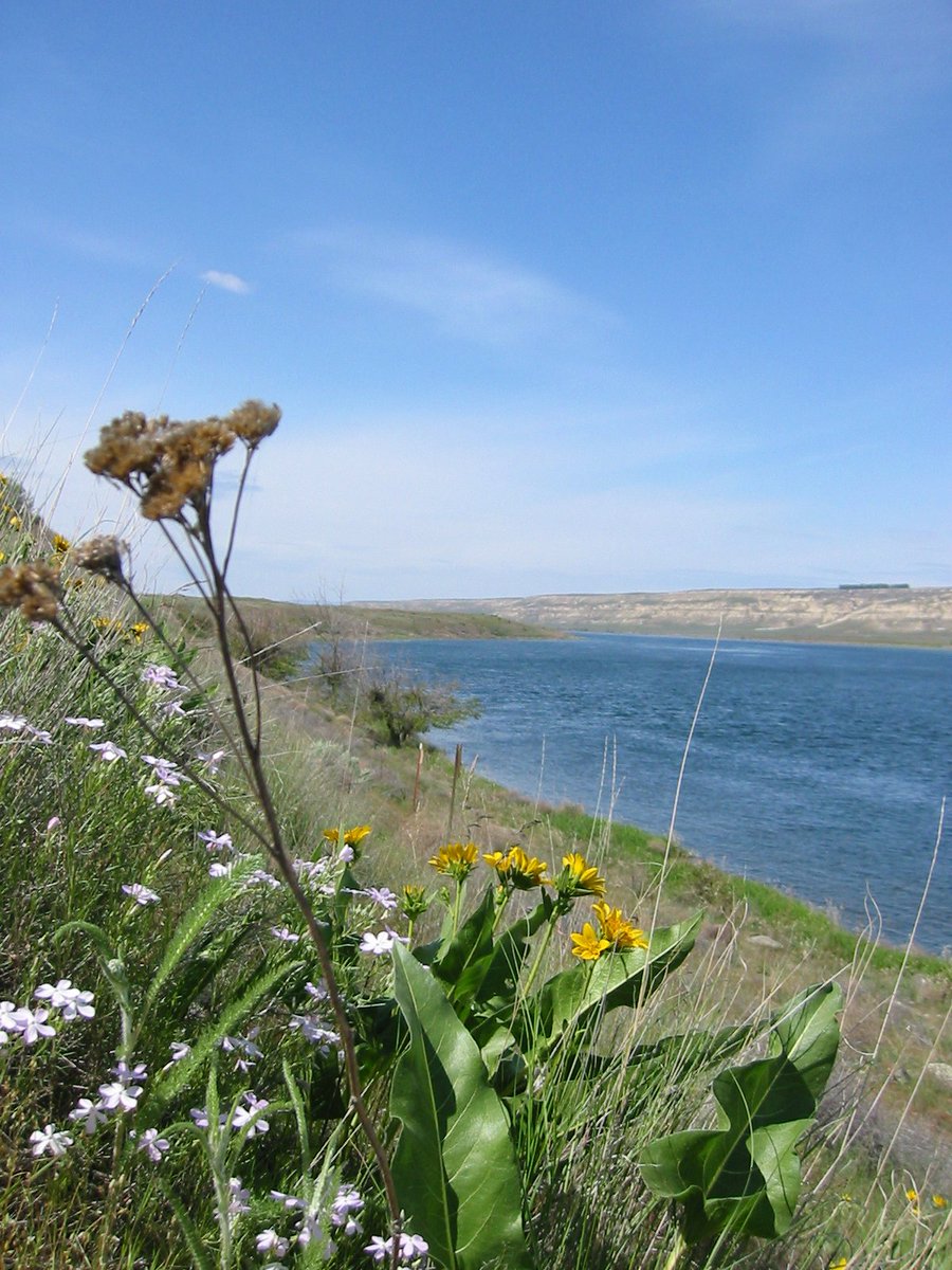 ecyHanford's tweet photo. It's #WorldPhotographyDay and there's a lot to see around the #Hanford Site and Tri-Cities.📸With these photos you see part of the @HanfordVitPlant, the Columbia River and the inside of a waste tank. #MondayMorning #Cleanup #NuclearCleanup #Nature #ColumbiaRiver @EcologyWA https://t.co/BfFrib7TgB