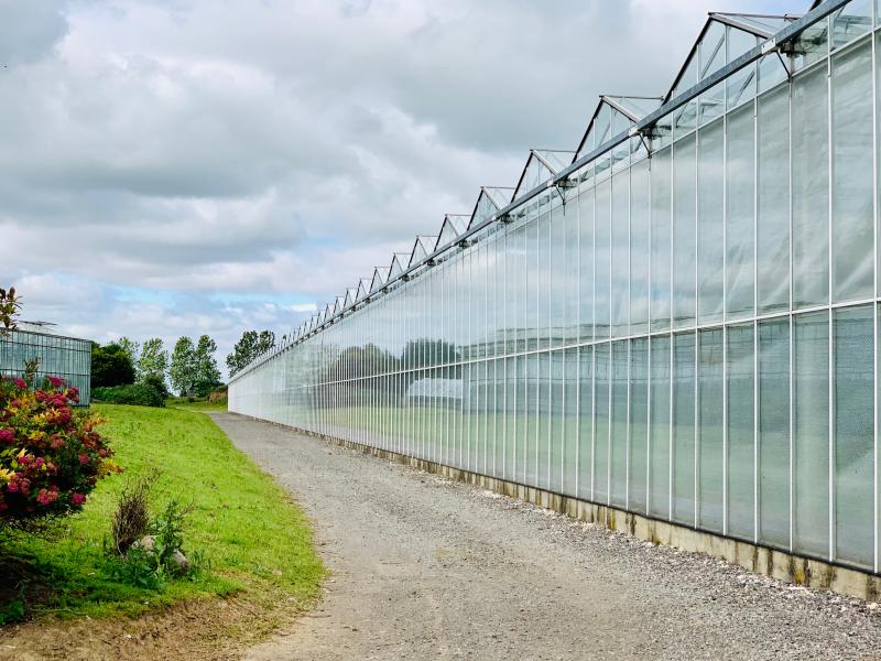 East Yorkshire Grower Embarks On Multi-million-pound Expansion
#Yorkshire #MillNurseries #EastYorkshire  #Keyingham 
yorkshiretimes.co.uk/article/East-Y…