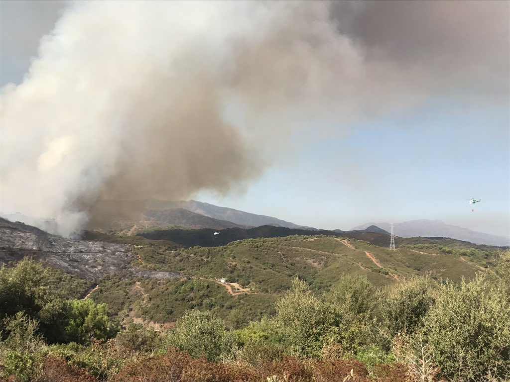 Miguel Ángel Herrera tweet media