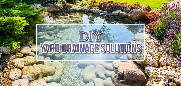 How to Improve Drainage in Your Yard budgetdumpster.com/blog/common-ya…