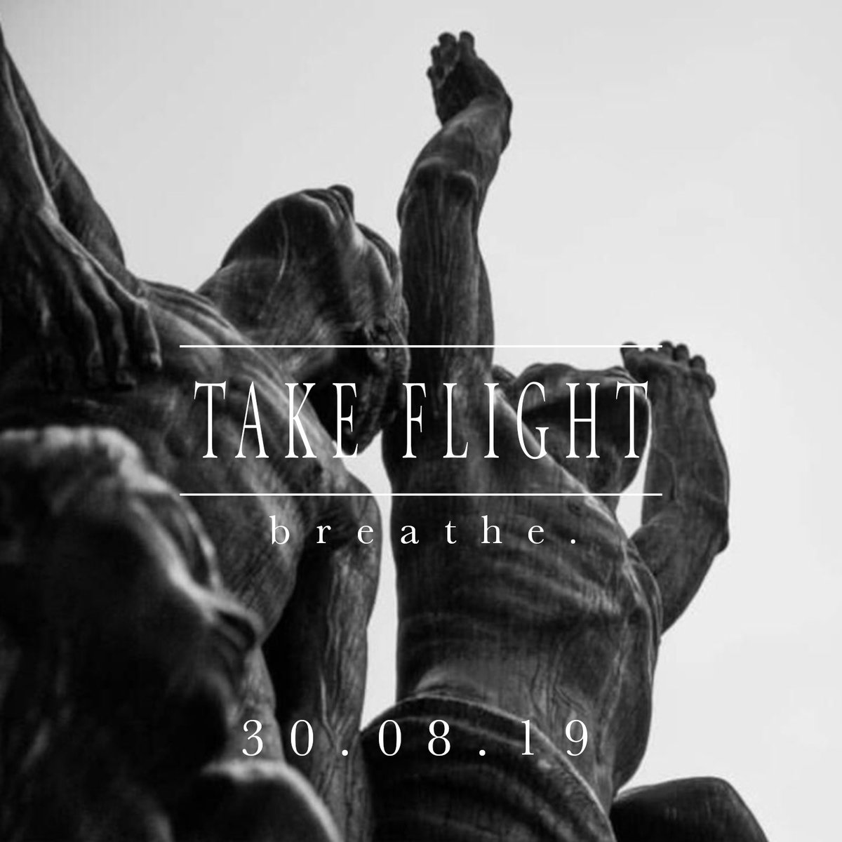 Image result for take flight breathe band