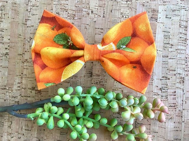 pawtownbandanas's tweet photo. Happy Monday! I love this orangey bow tie! If you do too, check them out in my Etsy shop! Link is in my bio π .
.
.
.
#bowtie #dogbowtie #dogbows #catbowtie #catbow #bowsfordogs #bowtieforlife #bowtiestyle #bowties #handmade #etsyfinds #artisan #shop⦠https://t.co/y3PLcdVR9e https://t.co/wPXAaoXAeO
