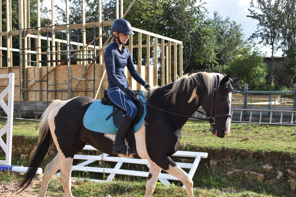 To all those who asked about the very lovely <a href="/DublinUK/">Dublin Clothing UK</a> leggings, gifted to us from <a href="/EquineEquipment/">Equine Superstore</a> , here’s our review of them for <a href="/Horsemart/">Horsemart.co.uk</a> !

If you would like a product reviewed, please contact us!

horsemart.co.uk/community/revi…

#equestrian #equineblogger