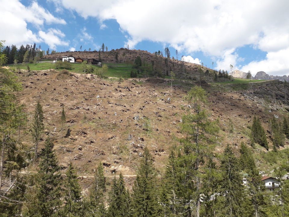 EgarterVigl's tweet photo. Cleared windthrow area in the Dolomites after storm #Vaia (Oct.2018). What about the risk of avalanches if a snowy winter is to come? It reminds me of the importance of #forests in protecting people &amp; nature @alpes_project @ECOPOTENTIALprj @ESMERALDA_H2020 @InnoForESt https://t.co/6dqEBZTf65