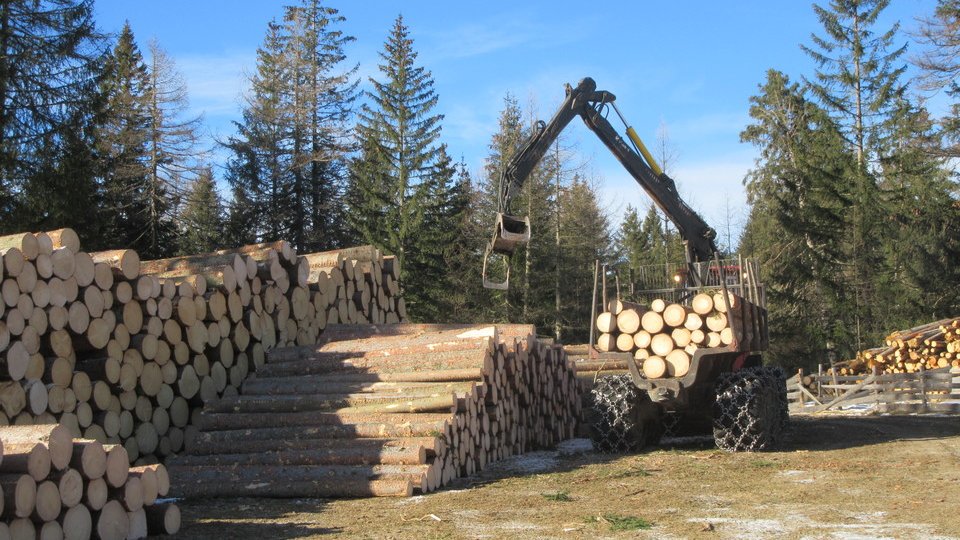 EgarterVigl's tweet photo. Cleared windthrow area in the Dolomites after storm #Vaia (Oct.2018). What about the risk of avalanches if a snowy winter is to come? It reminds me of the importance of #forests in protecting people &amp; nature @alpes_project @ECOPOTENTIALprj @ESMERALDA_H2020 @InnoForESt https://t.co/6dqEBZTf65