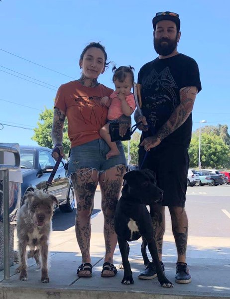 Adopted! #dog #Kaimu_CCSTCA_01  getpet.info/Kaimu_CCSTCA_01