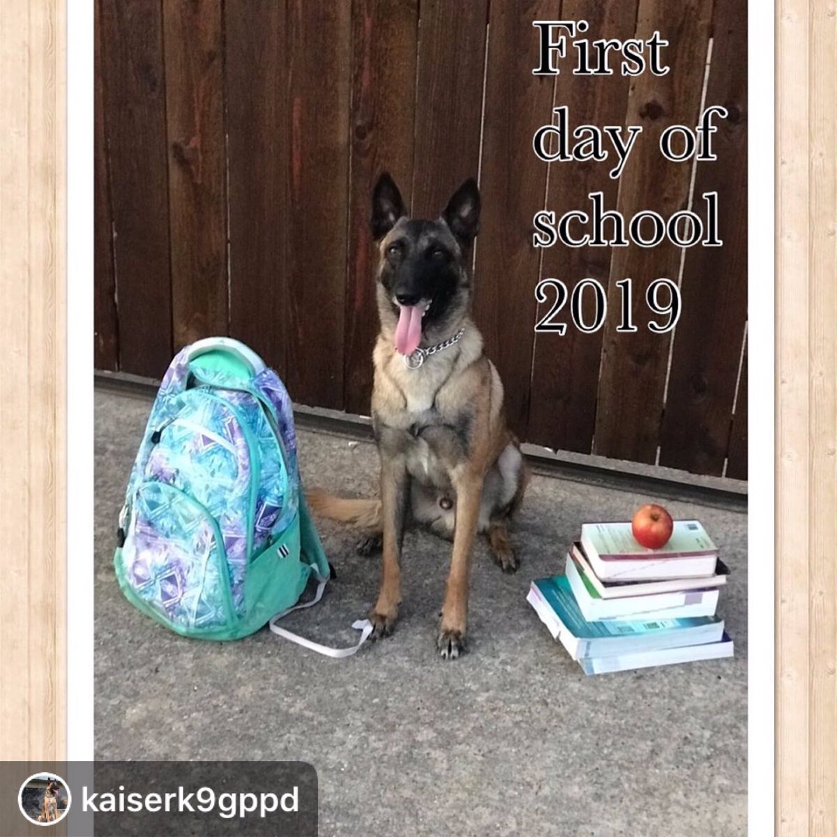 GrandPrairiePD's tweet photo. Kaiser is excited for school today! #gpisdfirstday #gpisdbacktoschool #gpisd @grandprairieisd (Follow Kaiser the K9 on Instagram πΎ @kaiserk9gppd) https://t.co/Li7i8vMesr