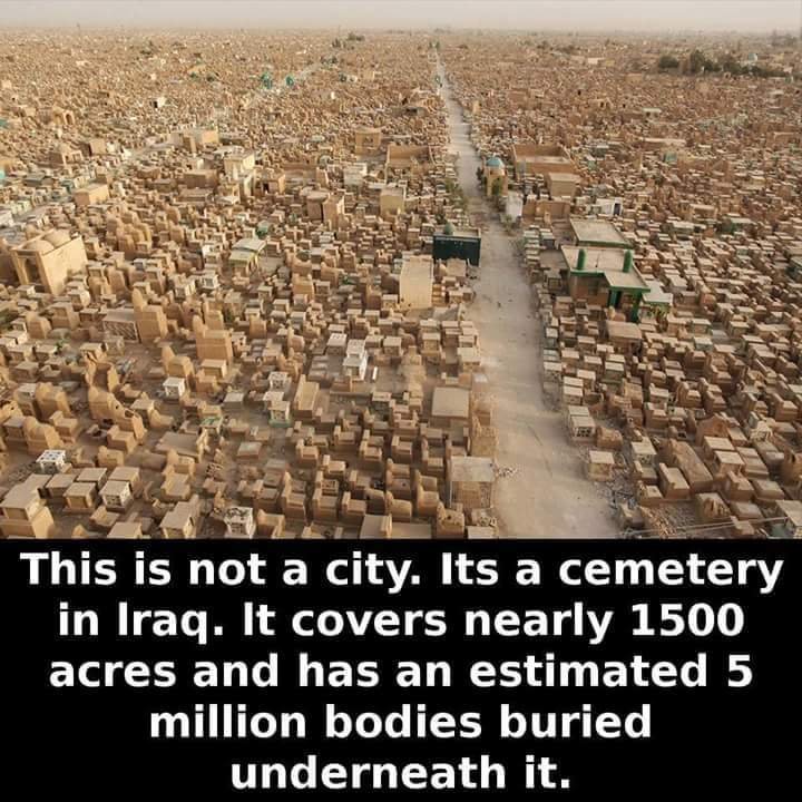 StormyVNV's tweet photo. @GOP FUCK YOU!! You lied and murder Millions for a #WARForLies #GOPWantsWar because they never got punished the last. #FacesOfTheDead https://t.co/WYfYNoUJK8