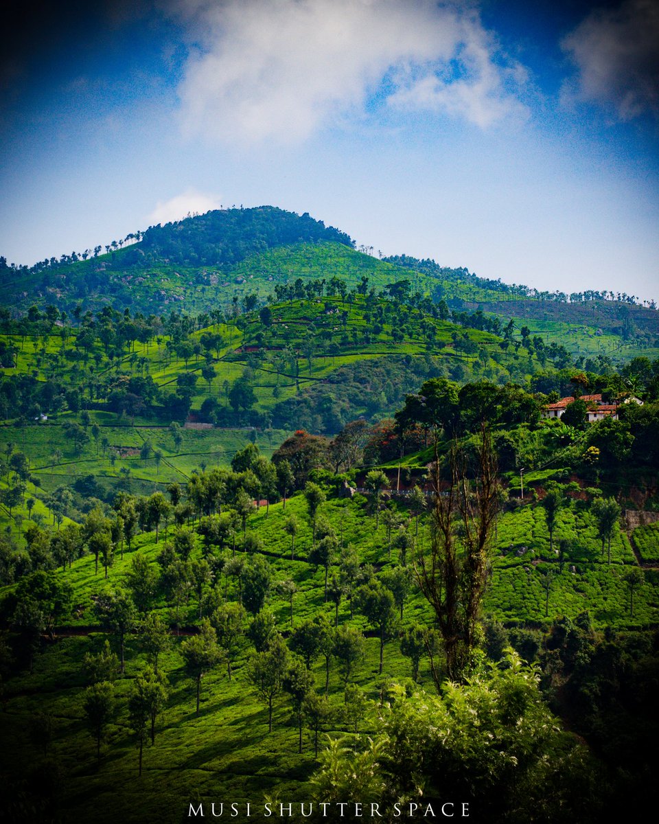 On the go click
#randomclick #ooty #landcape #worldphotographyday #nikond5100 #DSLR #indianphotography #photographers_of_india #world_photography_hub