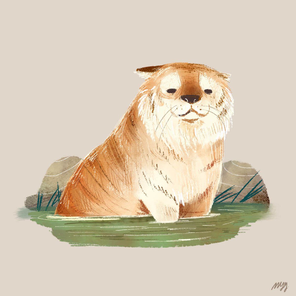 myy279's tweet photo. เจ้าแงวยักส์ 🐯 https://t.co/VZkjW15j3F