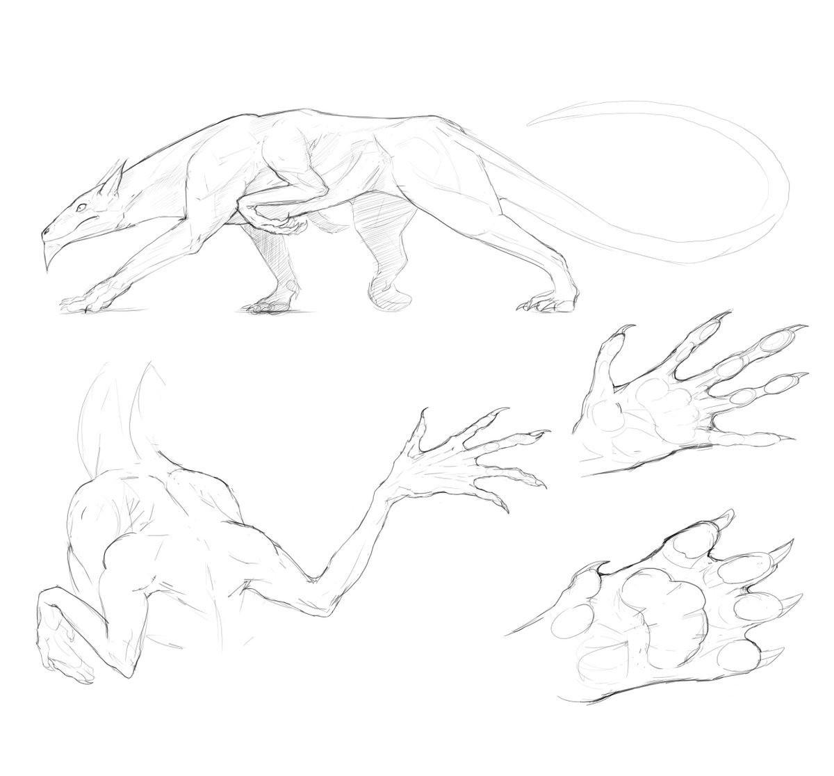 The_Gremlin_Cat's tweet photo. one of the forms some of the characters in my comic project can assume. tried to figure out the second set of arms/their role a bit more.  #art #sketches #character #creature #characterdevelopment #comic #comicdevelopment #digitalsketch #creaturedesign #shapeshifter https://t.co/Cat5hrdgO9