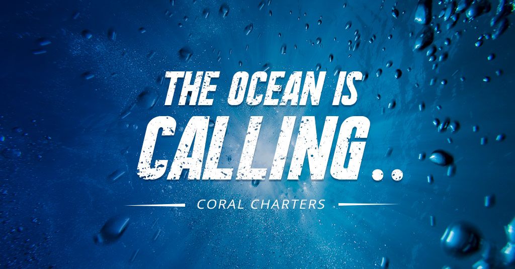 CoralCharters's tweet photo. The ocean is calling: Are you ready to discover an exciting world away from land? Book your private fishing charter today: https://t.co/q4NJY0z2Qn
#Fishing #SaltLife #CoralCharters https://t.co/smzjDTYF3E
