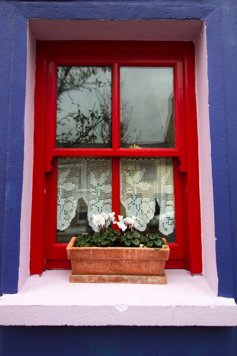 GroMorIreland's tweet photo. #MondayMotivation to not feel defeated by size and space. Whether it's a small plot or an apartment block you're living in, there are many ways you can Grow Mór. 🌼 Click here for our quick tip on window boxes: https://t.co/ADrKHil7Ei https://t.co/4ktZVzr02P