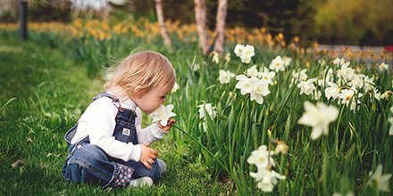 Toddlers love exploring and absorbing as much information as possible from their environment. Learn about becoming a guide for this highly sensitive period of child development. #Montessori #teachertraining montessoritraining.net/diploma-progra…