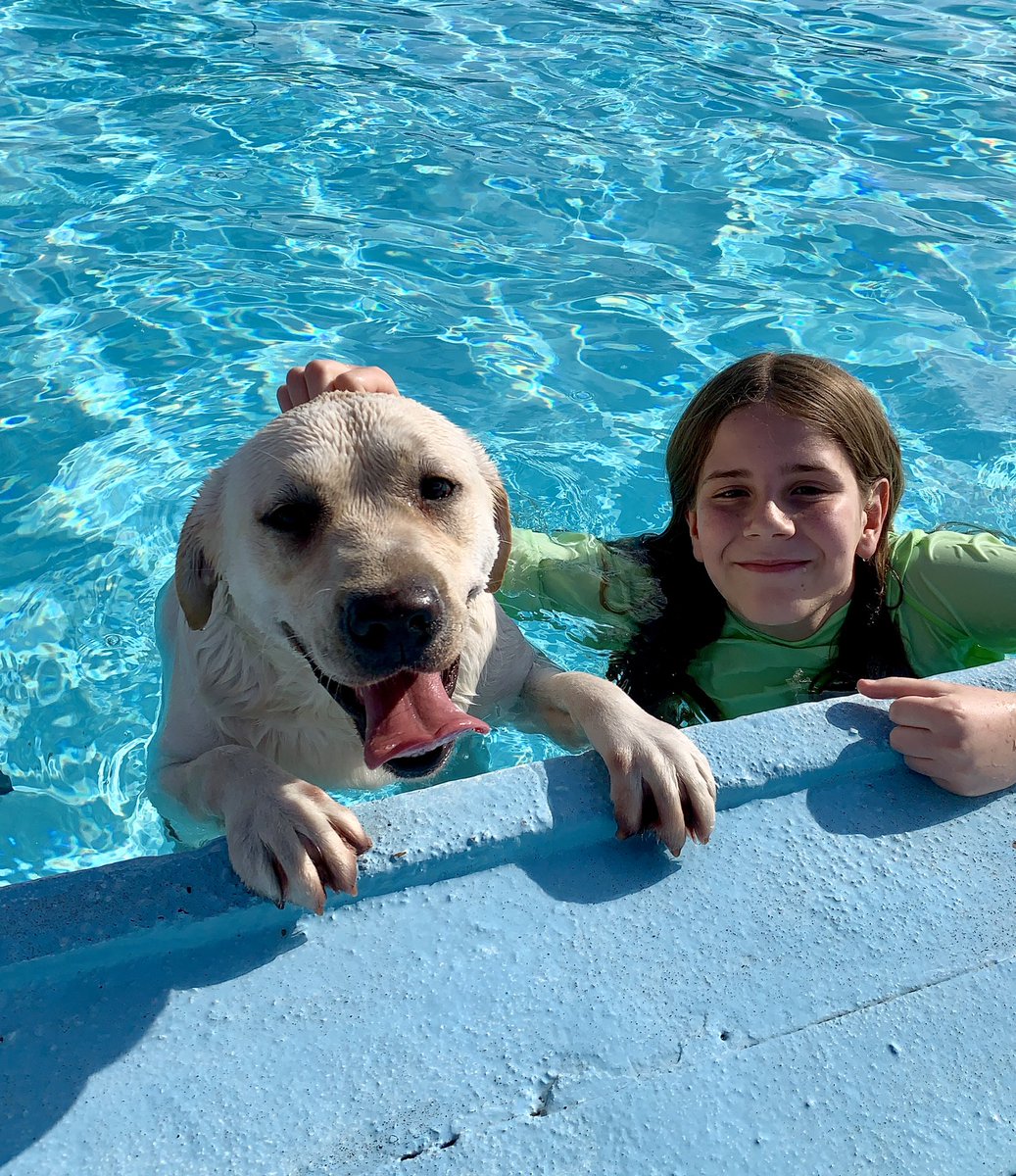 I've Pet That Dog on Twitter