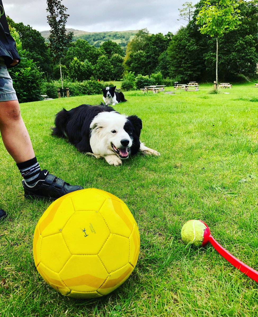 CherrydidiUK's tweet photo. I don’t know how #selfemployed #parents do it?! #schoolholidays #kidsoff #touristseason #retailbusiness #staffoff #movinghouse #businessgrowth #cherrydidiambleside #cherrydidikeswick #mustbemad #zakthecolliedog https://t.co/xI2zyZVtEJ