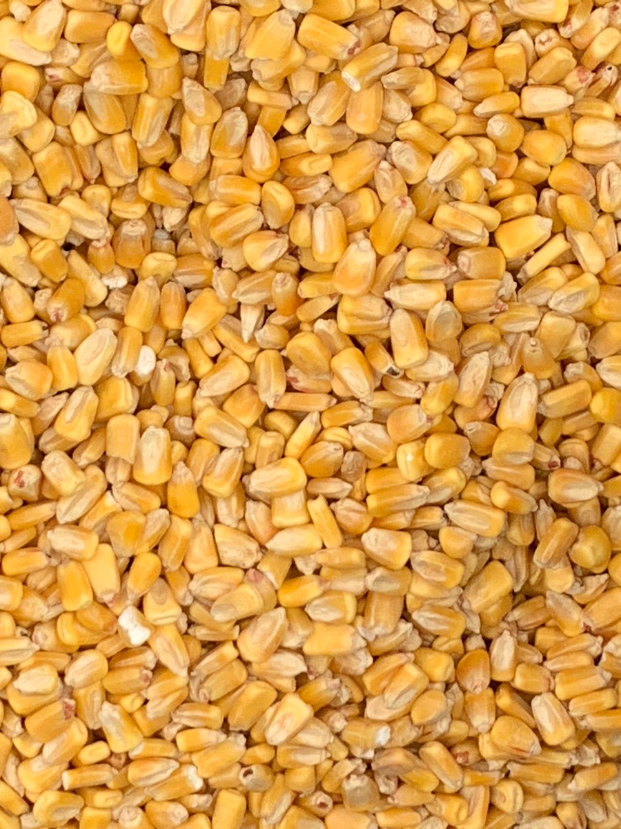 WHO13news's tweet image. Is there a kernel of truth in our unscientific survey? @idaveprice breaks down the #CastYourKernel final results from the @iowastatefair tonight at 5 on @WHOhd with @erinkiernan13 &amp;amp; @newzgirl