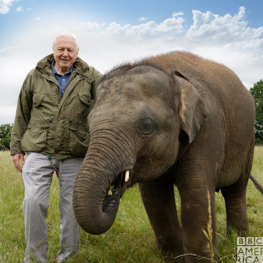 Wonderstruck's tweet photo. Name a more iconic duo. I'll wait. #JumboElephant https://t.co/OqoWQLqhye