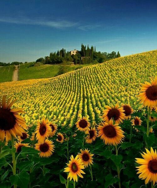 🌹Pamela🌹 (@pamelllar) on Twitter photo <a href="/blakiecarmen/">.</a> <a href="/Jill_Gregory/">Jill Gregory</a> <a href="/vikasknirmal/">VIKAS NIRMAL</a> <a href="/MystarMyheaven/">BEATRIZ</a> <a href="/Alexa17101614/">ALEXA 🍃💋🍃</a> <a href="/GreyAki/">Lettycia</a> <a href="/mouden_ab/">freedom.55🌷</a> @antonioasrocha <a href="/KarenBarryDavi1/">Karen Barry-Davies</a> <a href="/encarnacion67/">MARIA CRISTINA</a> <a href="/StefanSubotic91/">Stefan Subotic</a> <a href="/civi_mam/">Mam roj Çivi</a> <a href="/maype7/">✿⊱ Mayuli Peña R ✿⊱</a> @Karenkgordy <a href="/gtgana1/">gt_gana</a> <a href="/peac4love/">Ceni</a> <a href="/xaaNrdZvSp8Iyaa/">💖I dore 💖 Space ❤World❤</a> <a href="/Patrici58275001/">Patrici58275009</a> <a href="/miyachan_888/">雅 #END殺処分JAPAN</a> <a href="/MalikaAkram14/">Malika Akram</a> @berl54498099 <a href="/lana_liss/">Лана Лисс</a> <a href="/Skjha196/">shailendra jha</a> <a href="/klbkt/">Kelebek T🦋</a> @PapaPorter1 <a href="/MalikaAkram7/">Malika Akram</a> <a href="/AracelisTorre19/">Aracelis Torres</a> <a href="/ReRioPop/">Re 🇧🇷🇸🇾KayBrilhante Habib اتبع قلبك وعيش أحلا</a> <a href="/jeffshen01/">❄JEROME🔥</a> <a href="/_Cinderella_007/">🍁🍃Cinderella🍃🍁</a> <a href="/ladevita12/">Anna Gaudreault</a> <a href="/n6260/">n6260</a> <a href="/Lifeblessend/">✨Life 🍃❤ SDV 💫</a> <a href="/PopRioRe/">PopRioRe 🦄🦄 #TEAMSTALLION</a> <a href="/keikalin020460/">keika♒️🤗💓😸</a> <a href="/AndreiAndrei63/">Andrei</a> <a href="/Mary_Deal/">Mary Deal</a> <a href="/birdwriter7/">Award-Winning International Author, Suzy Davies</a> @traveltolanka <a href="/AdorablePixx/">Nature is Adorable 🌴</a> <a href="/AngelaVillani9/">Angela Villani</a> @Aasha_14 @PrincessJ114 <a href="/a_zicc/">a.zicc</a> Beautiful picture, thank you dear friend, have s great day 💕🔆❤️🌹 <a href="/blakiecarmen/">.</a> <a href="/Jill_Gregory/">Jill Gregory</a> <a href="/vikasknirmal/">VIKAS NIRMAL</a> <a href="/MystarMyheaven/">BEATRIZ</a> <a href="/Alexa17101614/">ALEXA 🍃💋🍃</a> <a href="/GreyAki/">Lettycia</a> <a href="/mouden_ab/">freedom.55🌷</a> @antonioasrocha <a href="/KarenBarryDavi1/">Karen Barry-Davies</a> <a href="/encarnacion67/">MARIA CRISTINA</a> <a href="/StefanSubotic91/">Stefan Subotic</a> <a href="/civi_mam/">Mam roj Çivi</a> <a href="/maype7/">✿⊱ Mayuli Peña R ✿⊱</a> @Karenkgordy <a href="/gtgana1/">gt_gana</a> <a href="/peac4love/">Ceni</a> <a href="/xaaNrdZvSp8Iyaa/">💖I dore 💖 Space ❤World❤</a> <a href="/Patrici58275001/">Patrici58275009</a> <a href="/miyachan_888/">雅 #END殺処分JAPAN</a> <a href="/MalikaAkram14/">Malika Akram</a> @berl54498099 <a href="/lana_liss/">Лана Лисс</a> <a href="/Skjha196/">shailendra jha</a> <a href="/klbkt/">Kelebek T🦋</a> @PapaPorter1 <a href="/MalikaAkram7/">Malika Akram</a> <a href="/AracelisTorre19/">Aracelis Torres</a> <a href="/ReRioPop/">Re 🇧🇷🇸🇾KayBrilhante Habib اتبع قلبك وعيش أحلا</a> <a href="/jeffshen01/">❄JEROME🔥</a> <a href="/_Cinderella_007/">🍁🍃Cinderella🍃🍁</a> <a href="/ladevita12/">Anna Gaudreault</a> <a href="/n6260/">n6260</a> <a href="/Lifeblessend/">✨Life 🍃❤ SDV 💫</a> <a href="/PopRioRe/">PopRioRe 🦄🦄 #TEAMSTALLION</a> <a href="/keikalin020460/">keika♒️🤗💓😸</a> <a href="/AndreiAndrei63/">Andrei</a> <a href="/Mary_Deal/">Mary Deal</a> <a href="/birdwriter7/">Award-Winning International Author, Suzy Davies</a> @traveltolanka <a href="/AdorablePixx/">Nature is Adorable 🌴</a> <a href="/AngelaVillani9/">Angela Villani</a> @Aasha_14 @PrincessJ114 <a href="/a_zicc/">a.zicc</a> Beautiful picture, thank you dear friend, have s great day 💕🔆❤️🌹