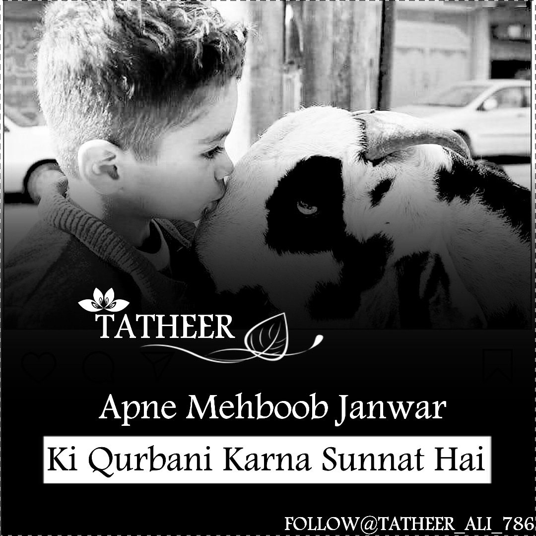 tatheeralimadar's tweet photo. #srkfanclub #kingkhan #imsrk #iambigfansrk #kingkhan #fansrk #srkfans #shahrukhkhan #kingofbollywood #king #tatheer_ali_writes #tatheer #instagram #ali_17 #lovequotes #lovedairy #mohabbat #ishq #hindi #urdupoetry @Tatheer__Ali @iamsrk @instagram https://t.co/1A96nX3JSM