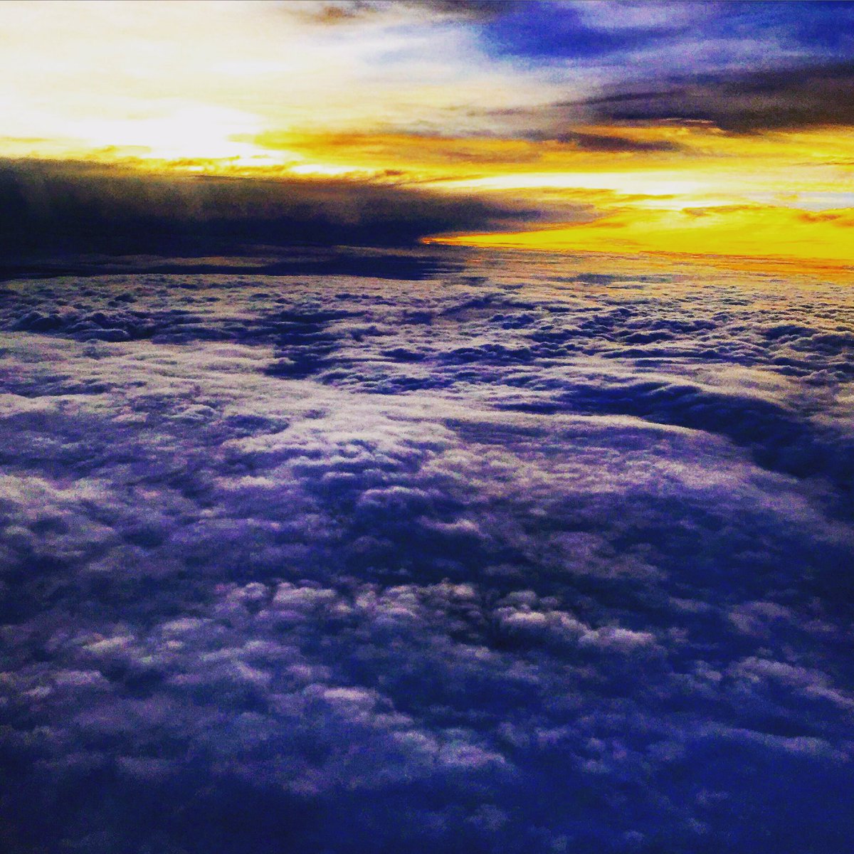 mitalishahi's tweet photo. #abovetheclouds #worldphotographyday 📸 #picture #beauty #beautiful #blue #sky #mIstyle #fashionblog #fashionblogger #styleblog #styleblogger #picoftheday https://t.co/cuJpgBPIEx