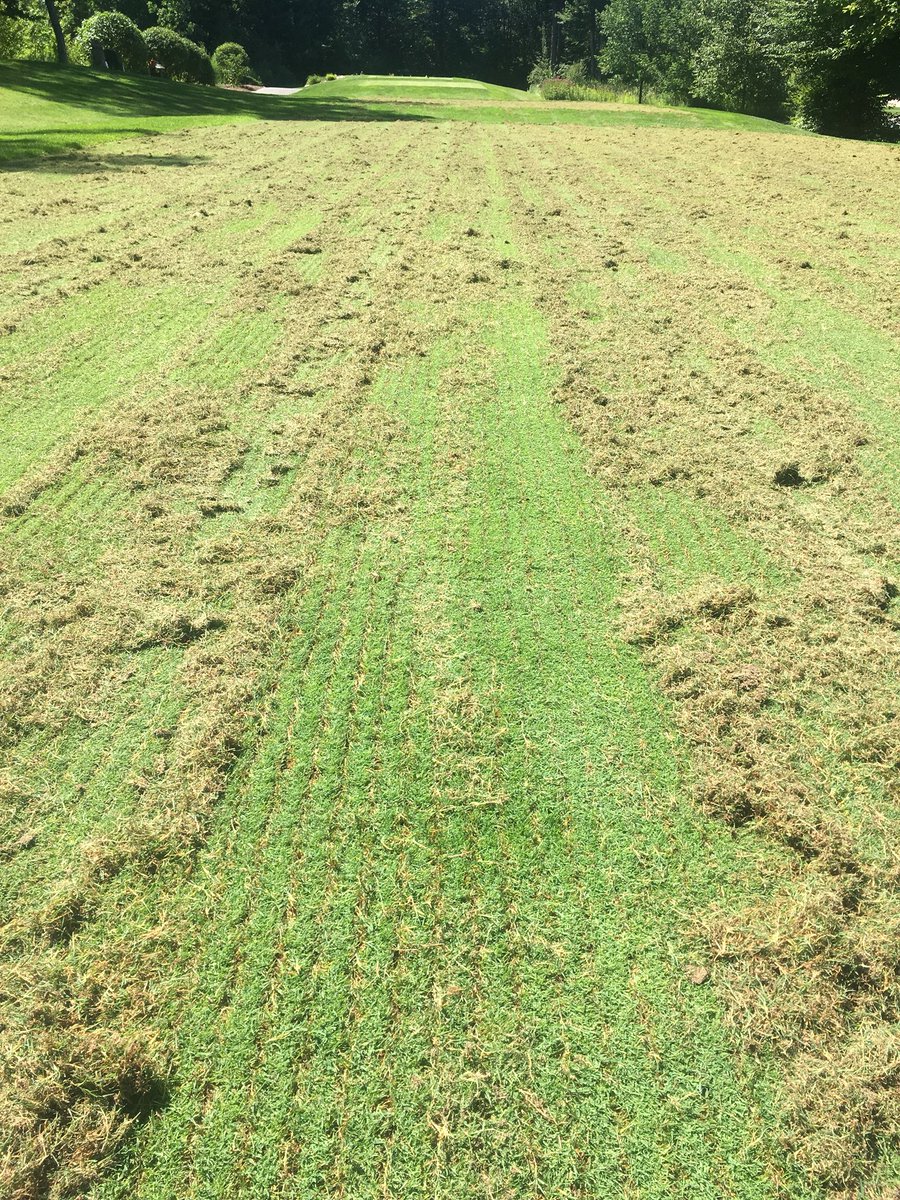 TaytheMechanic's tweet photo. Just a little Monday afternoon graden action @therockgolfclub with @sisson_travis and twitterless Deni checking it out, topdress starts tomorrow and chases the cutter #thatchmanagement https://t.co/3qnAj9lAZF