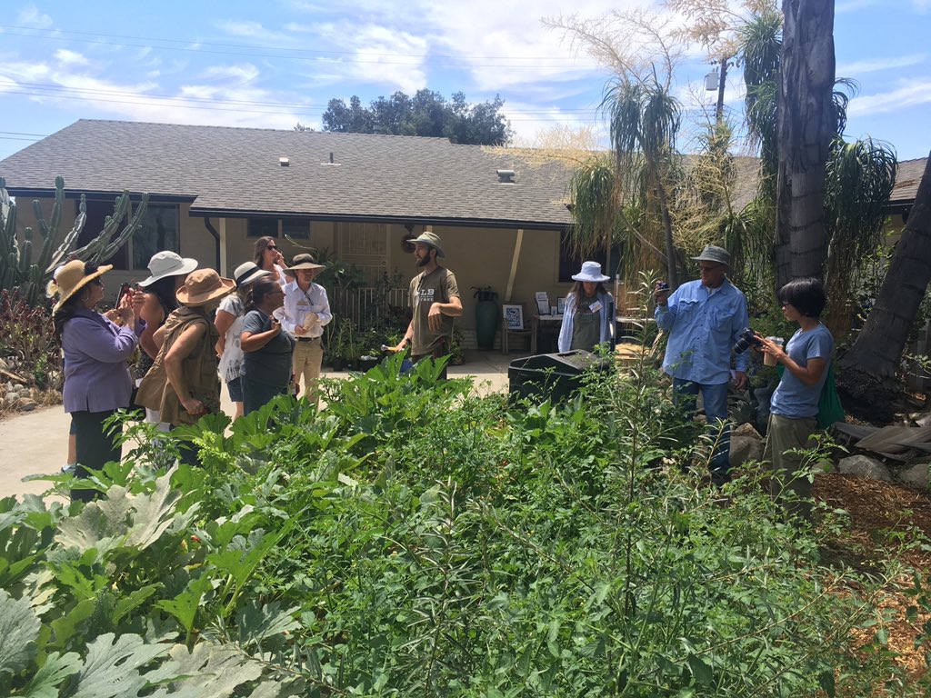 ValenzuelaJohn's tweet image. Great greywater garden tour  with Ty Teissere in his productive Pomona paradise #CRFG #FestivaloFruit2019