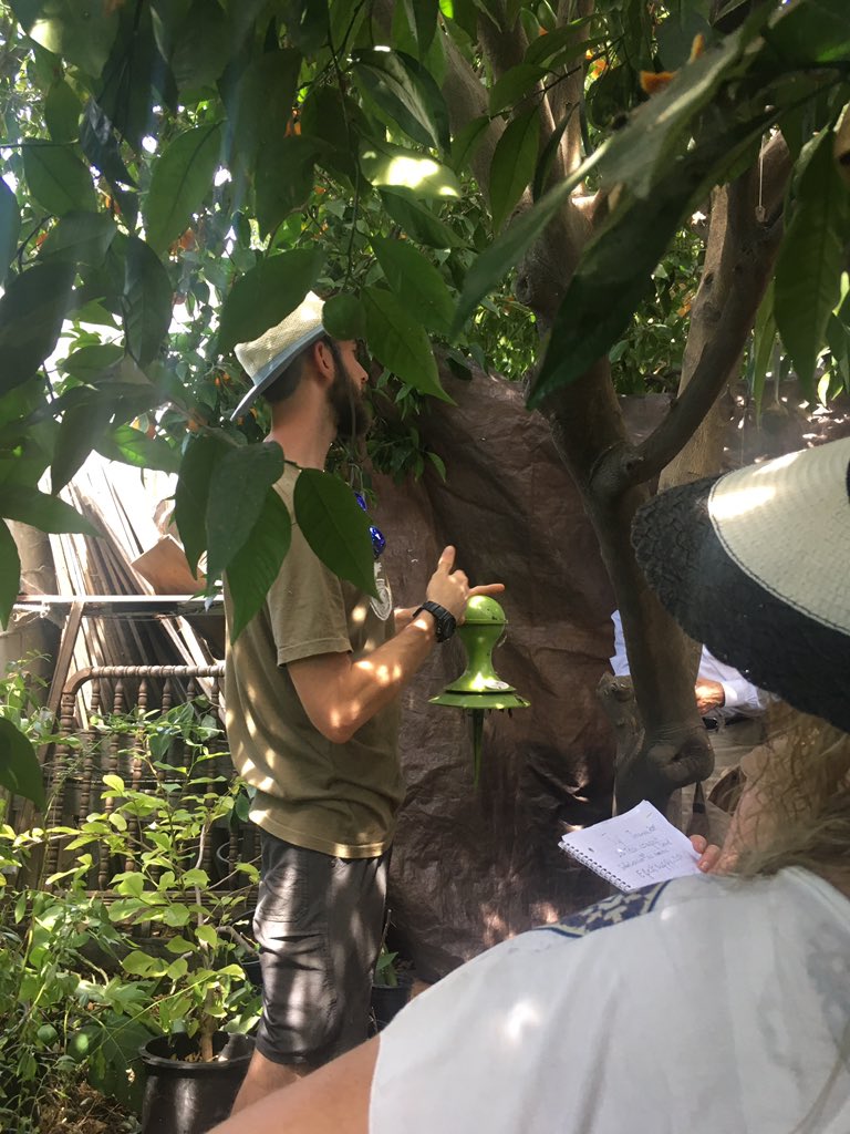 ValenzuelaJohn's tweet image. Great greywater garden tour  with Ty Teissere in his productive Pomona paradise #CRFG #FestivaloFruit2019