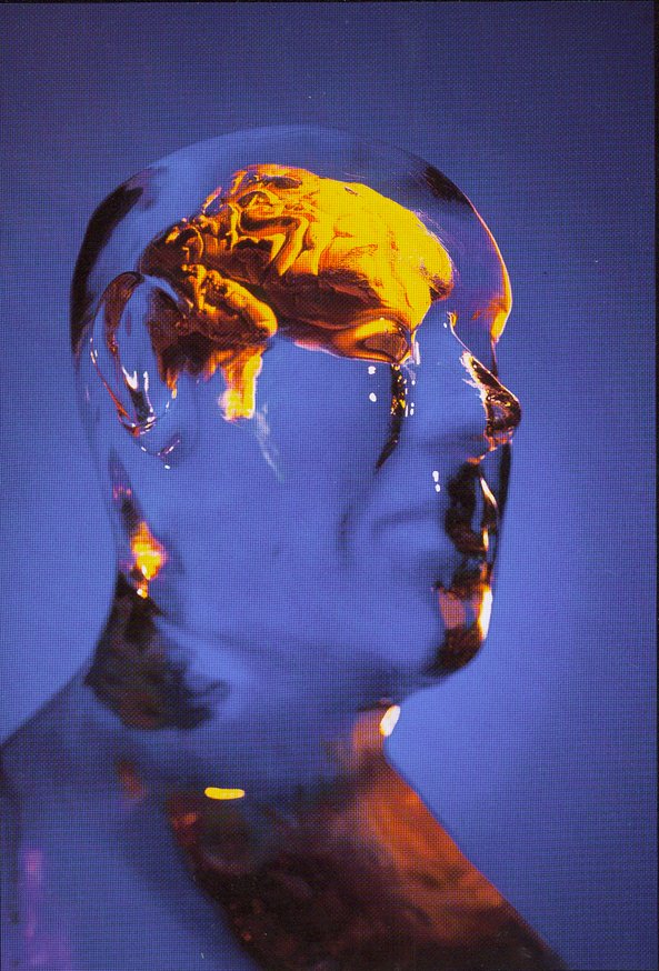 Iceboxdesign's tweet photo. Anyone's brain working this Monday morning??? #ice #icesculpture #iceboxdesign #brainhead https://t.co/8smj8eeQEP