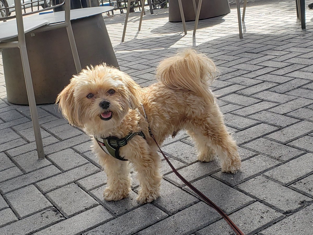 Art Dahm tweet media