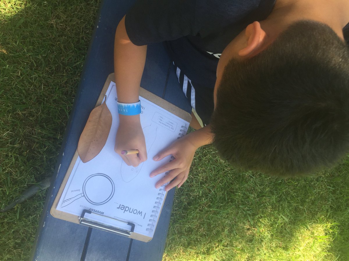 Today we went outside to practice observing and wondering like a scientist. It’s a good day to be learning at #baldwinstocker