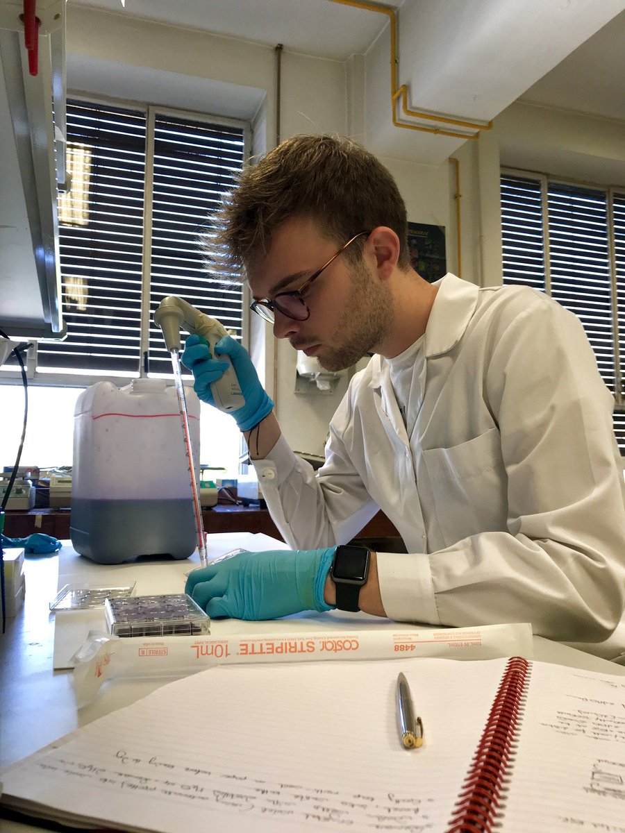 Erasmus_PharUoP's tweet photo. Luke (Pharmacology) spend the summer in Madrid. "Spending time in a new country and experiencing a new culture has really opened my eyes to life outside of the UK.  My experience has been one of a kind!" @UoP_PharmacyBMS @UoPGlobal @UoPScience https://t.co/aM93eq640T