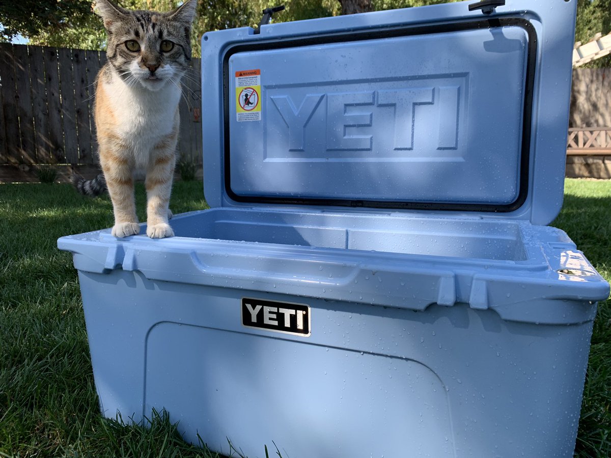 greenmonstah4's tweet photo. You know it’s the best when the cat approves! 😎 @YETICoolers @HumaneSociety @ASPCA @rescuecatsinc #cats #catsofinstagram #cat #kitties #rescuecat #RescueCats #animallovers #coolers #icecooler #yeti #summer2019 #camping #campers #wild @AnimalPlanet @natgeowild @bestfriends https://t.co/6RsQTAq6Pf